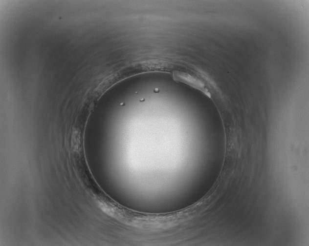 X0000081300025200701181847