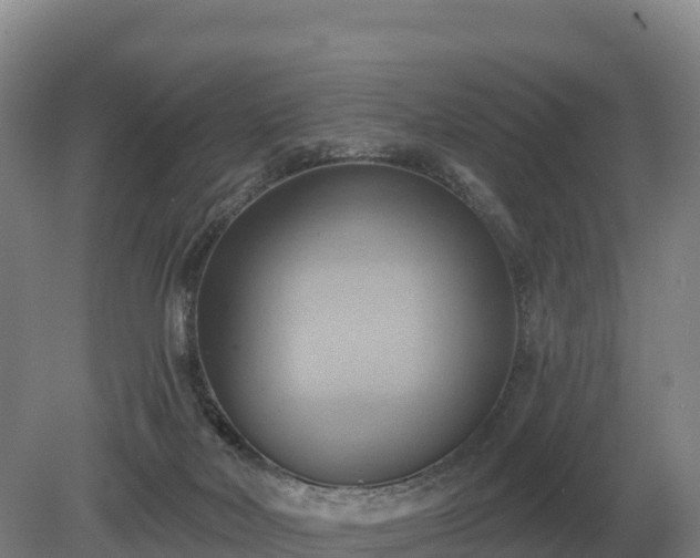 X0000081300026200701181847