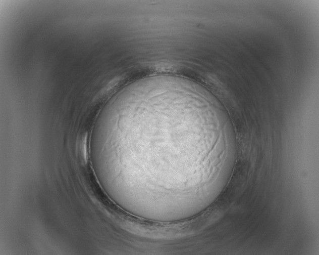 X0000081300028200701181847