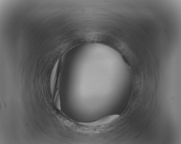 X0000081300029200701181847