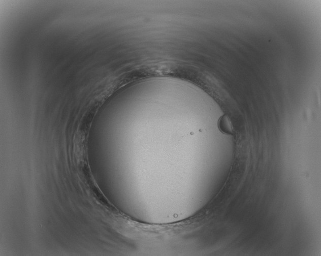 X0000081300030200701181847