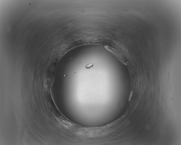 X0000081300033200701181847