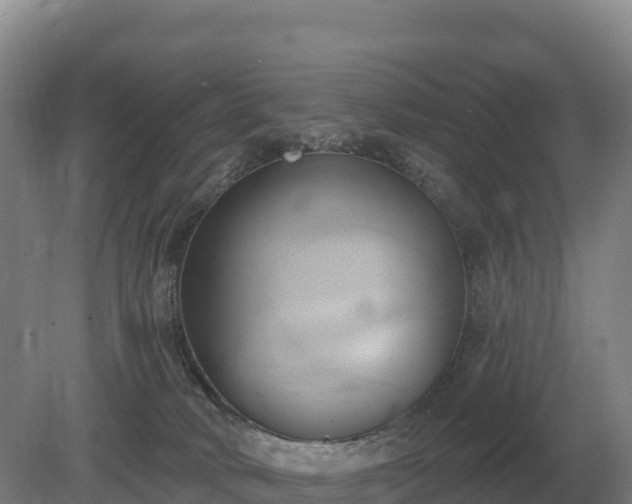 X0000081300034200701181847