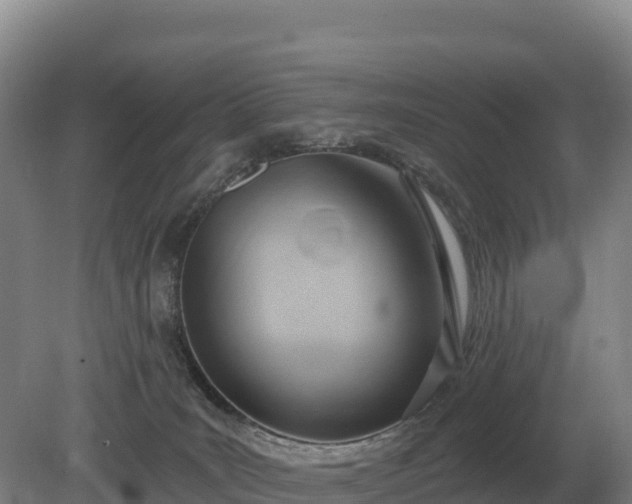 X0000081300035200701181847