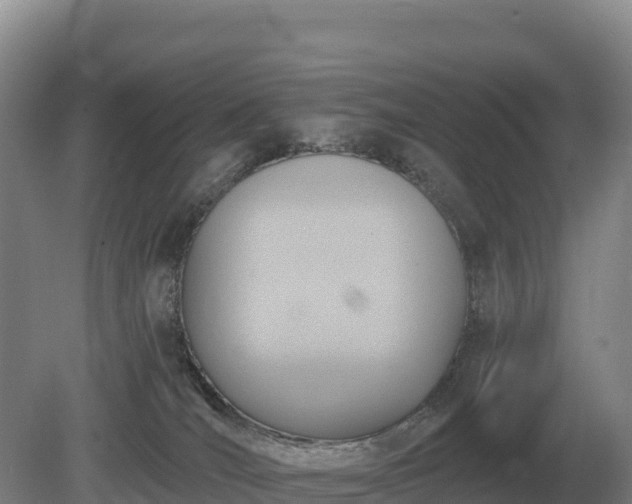 X0000081300036200701181847