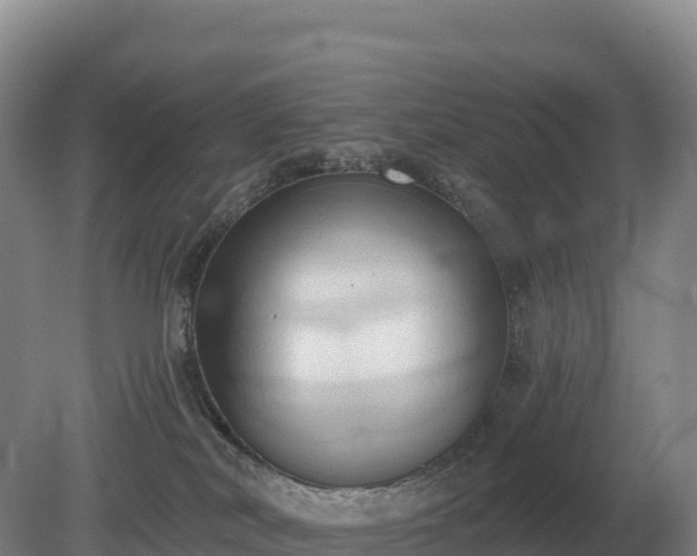 X0000081300038200701181847