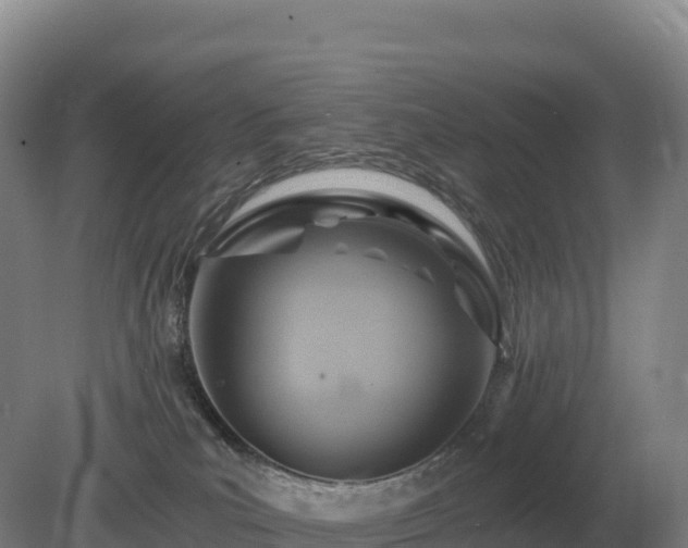 X0000081300039200701181847