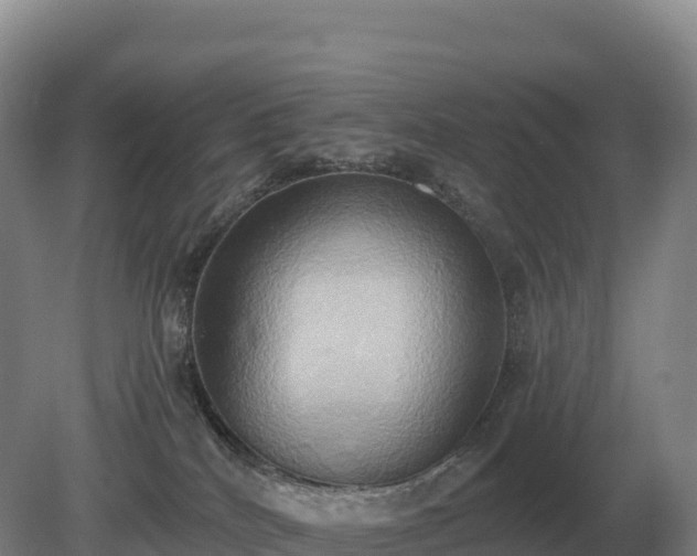 X0000081300040200701181847