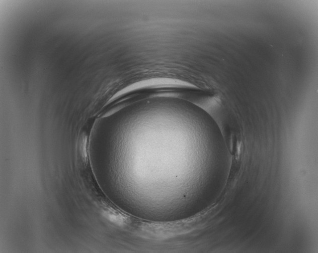 X0000081300041200701181847