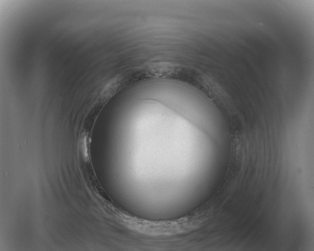 X0000081300042200701181847