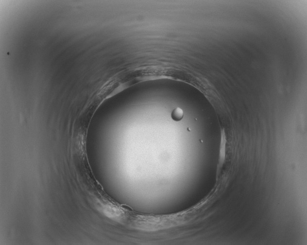 X0000081300045200701181847