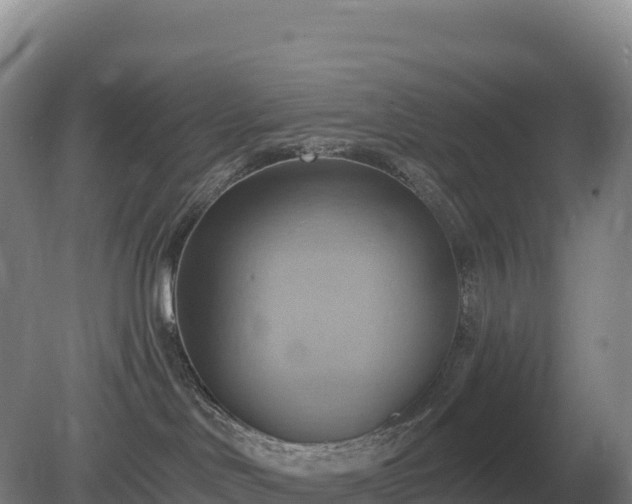 X0000081300046200701181847