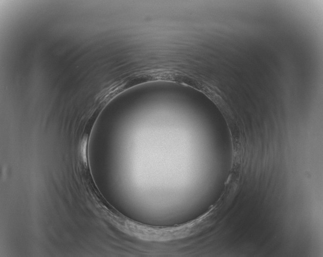 X0000081300047200701181847