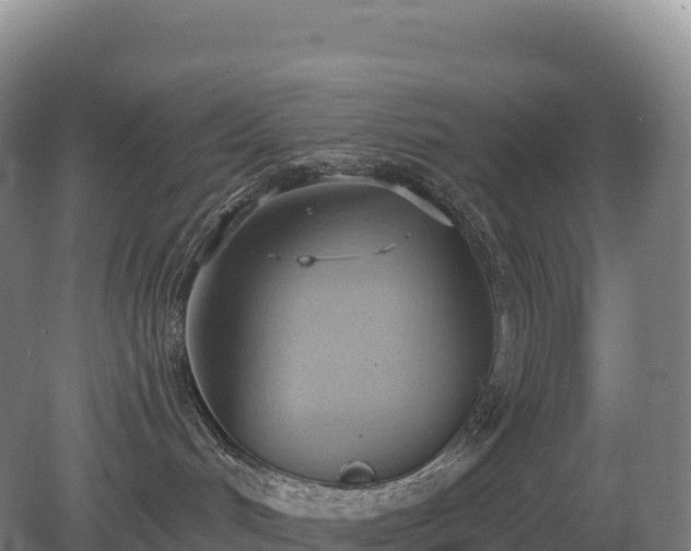 X0000081300048200701181846