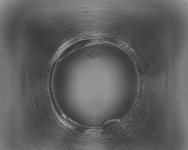 X0000081300051200701181846