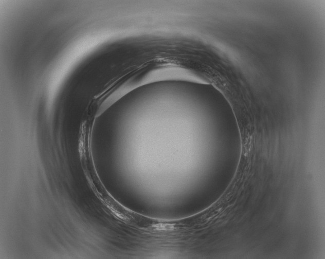 X0000081300052200701181846