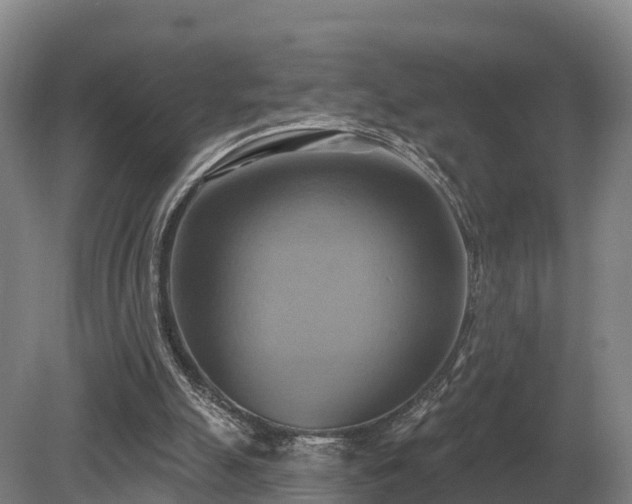 X0000081300055200701181846