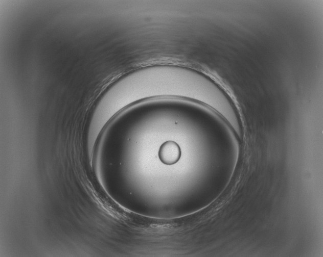 X0000081300057200701181846