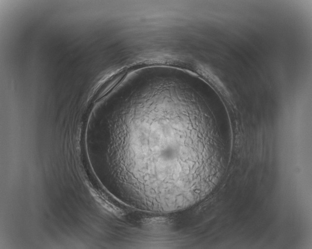 X0000081300058200701181846