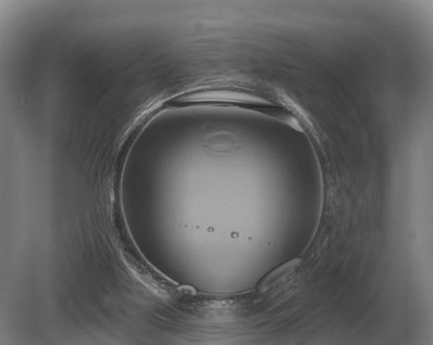 X0000081300059200701181846