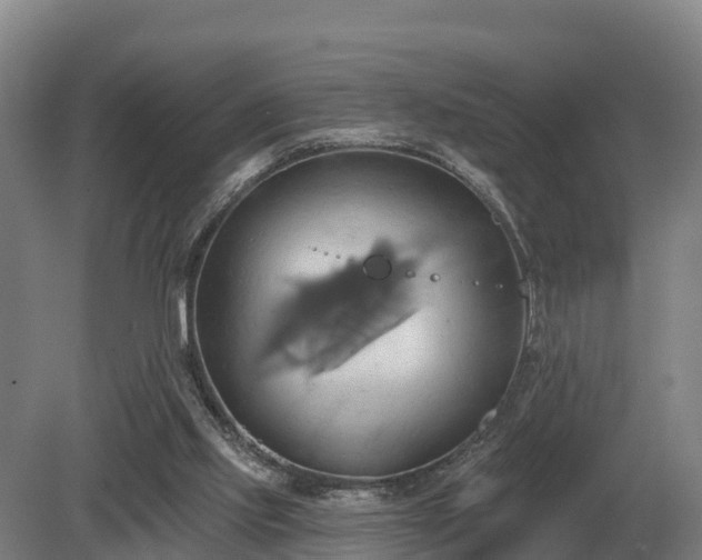 X0000081300061200701181846