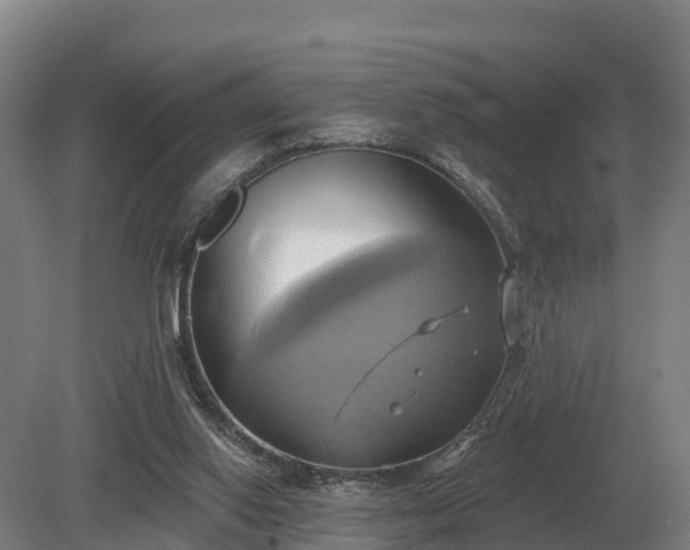 X0000081300062200701181846