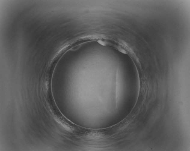 X0000081300063200701181846