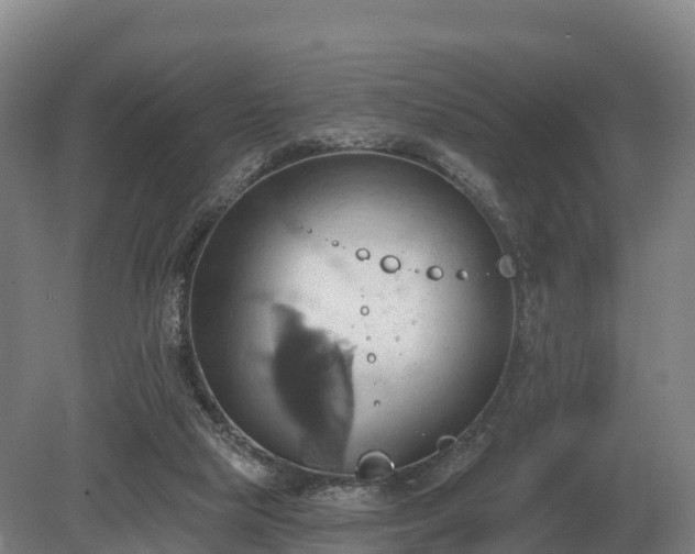 X0000081300065200701181846