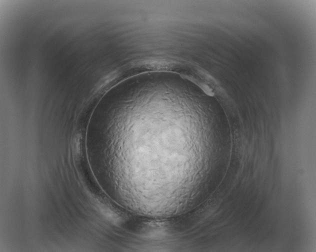 X0000081300071200701181846