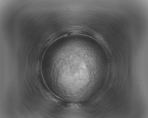 X0000081300073200701181846