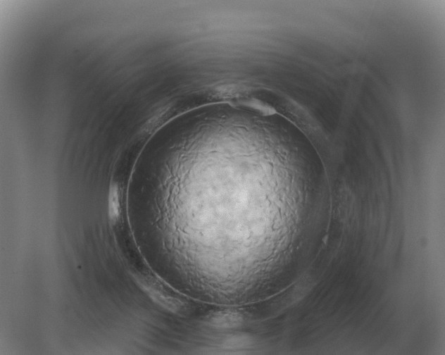 X0000081300075200701181846