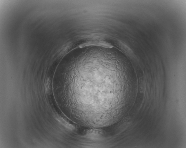 X0000081300077200701181846
