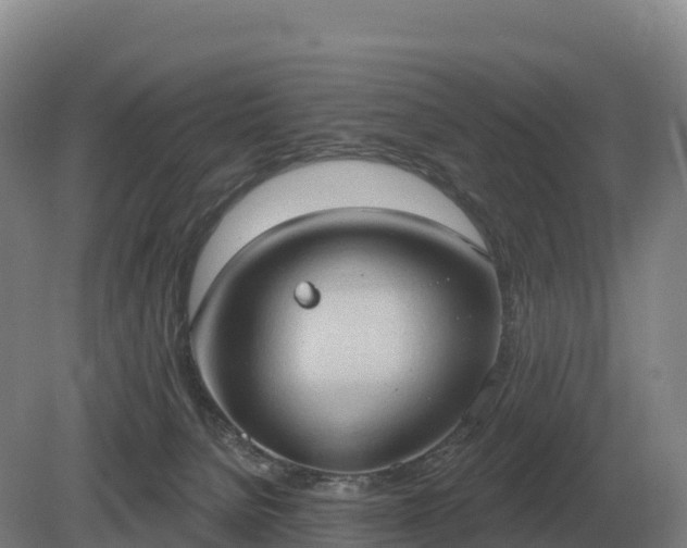 X0000081300080200701181846