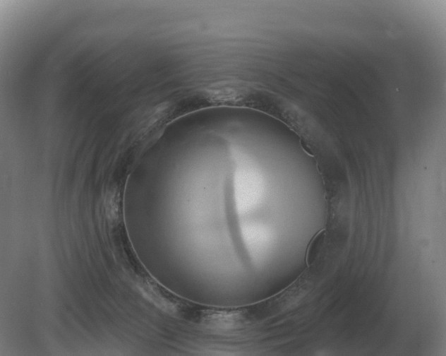 X0000081300081200701181846