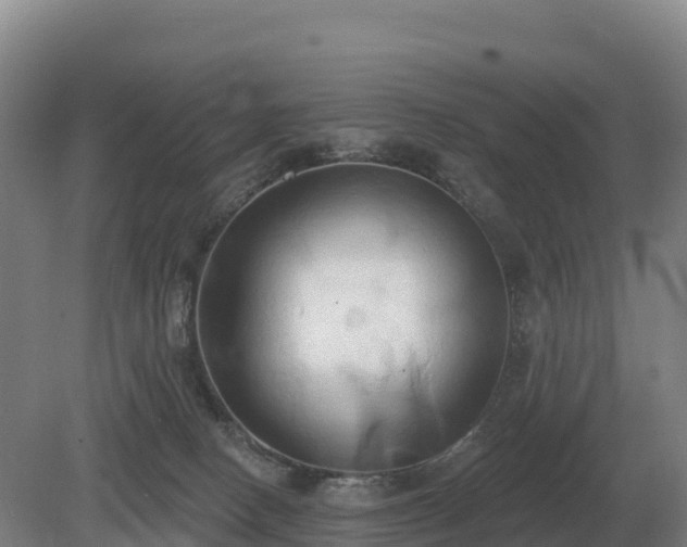 X0000081300082200701181846