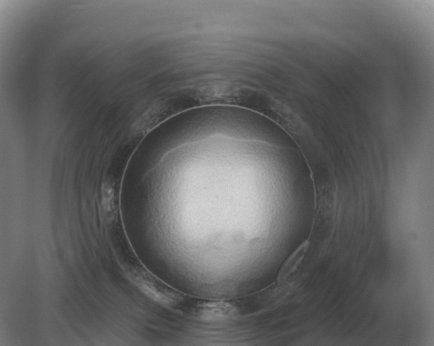 X0000081300087200701181846