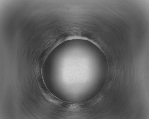 X0000081300088200701181846