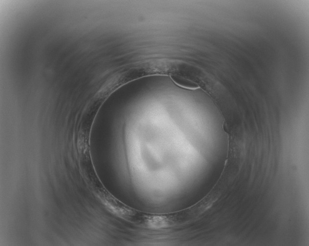 X0000081300091200701181846