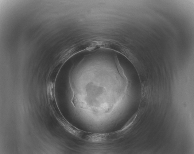 X0000081300094200701181846