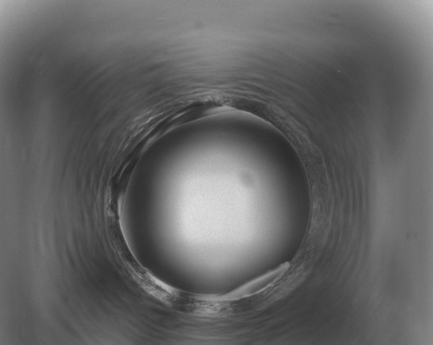 X0000081300096200701181846