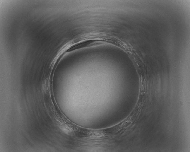 X0000081300099200701181846