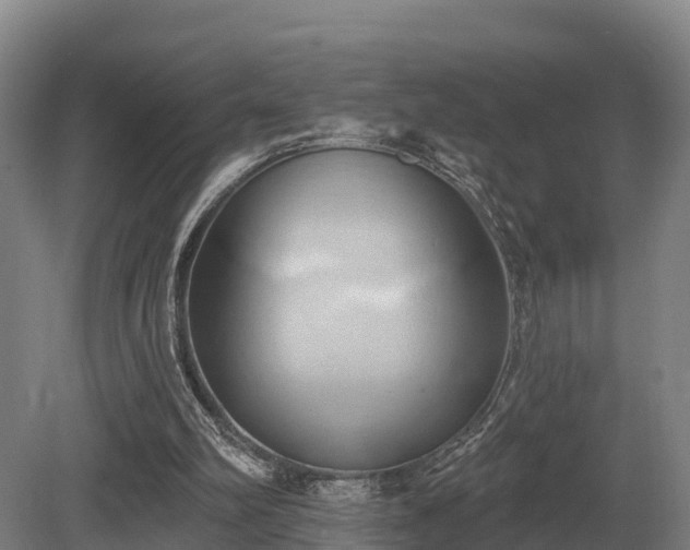 X0000081300102200701181846