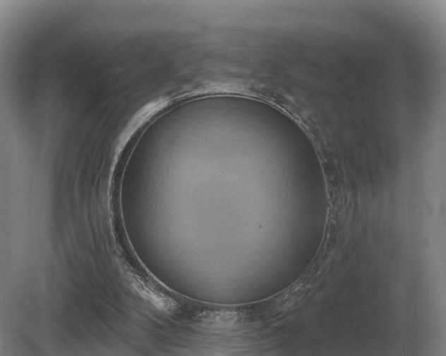 X0000081300104200701181846