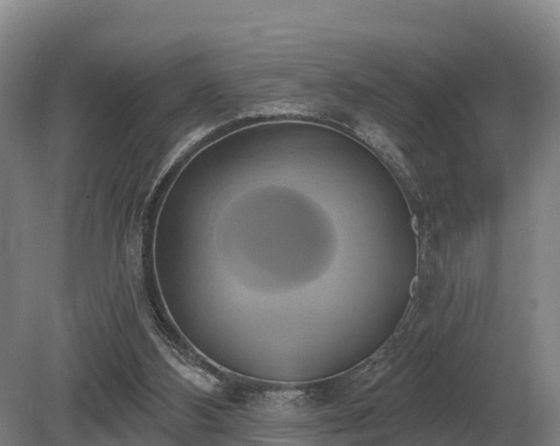 X0000081300108200701181845