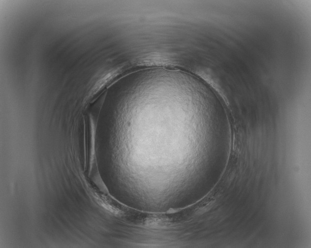 X0000081300109200701181845