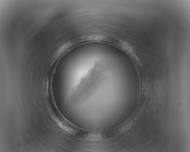 X0000081300110200701181845