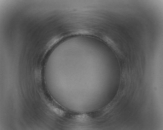 X0000081300112200701181845