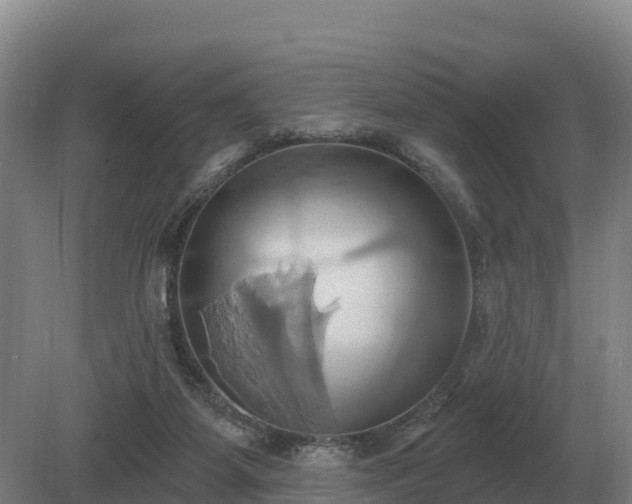 X0000081300115200701181845