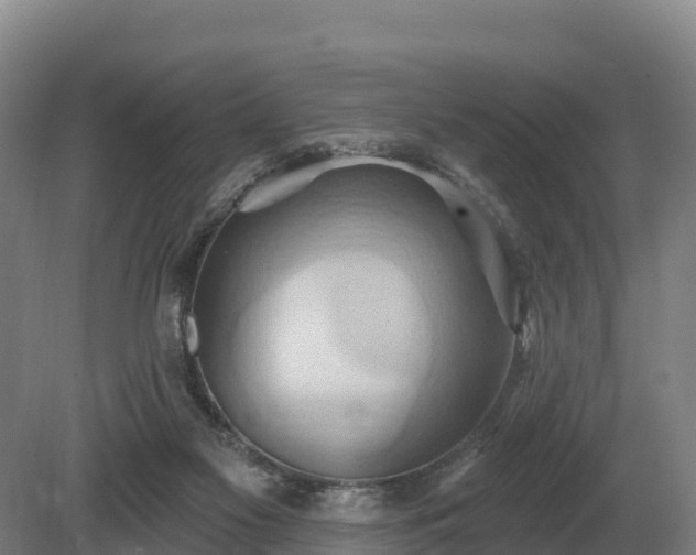 X0000081300117200701181845