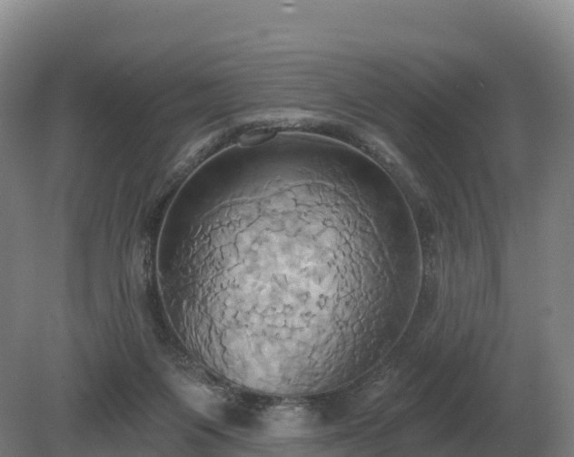 X0000081300119200701181845